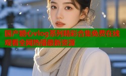 国产糖心vlog系列精彩合集免费在线观看全网热播最新资源