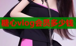 糖心vlog会员多少钱