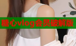 糖心vlog会员破解版