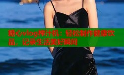 糖心vlog榨汁机：轻松制作健康饮品，记录生活美好瞬间