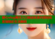 糖心vlog网页入口精选优质内容轻松发现精彩生活瞬间