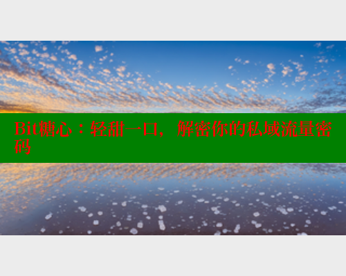 Bit糖心：轻甜一口，解密你的私域流量密码 糖心vlog 第2张