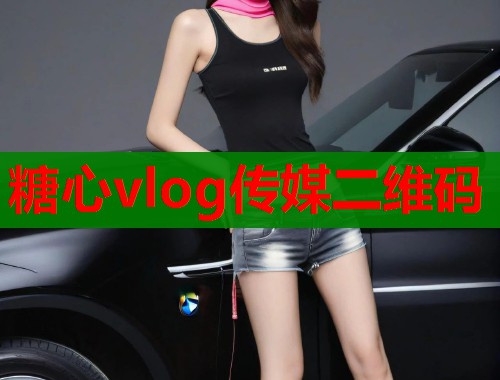 糖心vlog传媒二维码  第2张