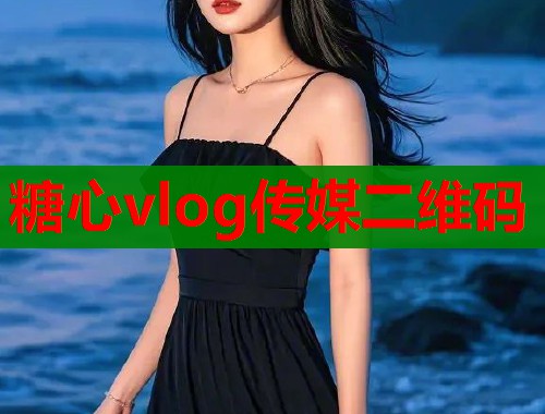 糖心vlog传媒二维码  第1张