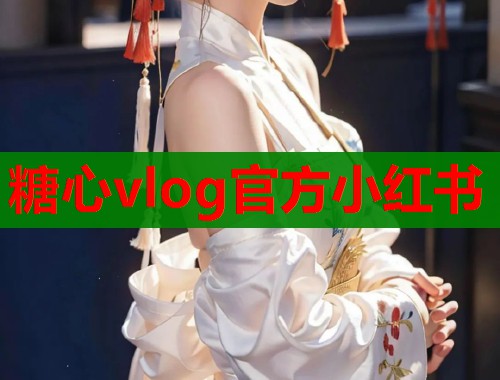糖心vlog官方小红书  第1张