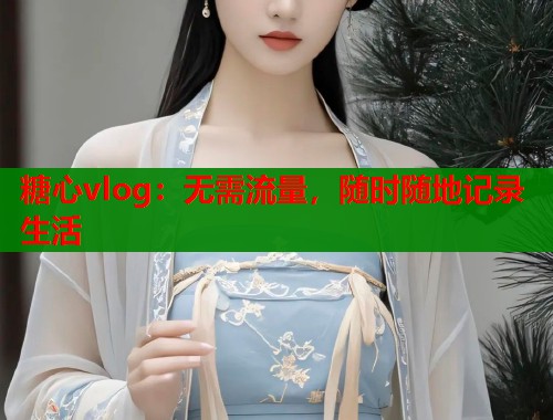 糖心vlog：无需流量，随时随地记录生活  第1张
