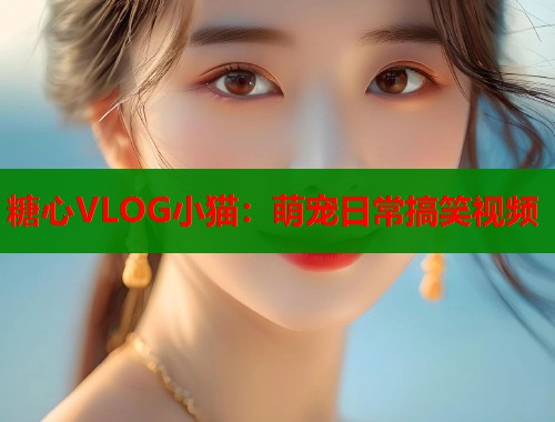 糖心VLOG小猫：萌宠日常搞笑视频  第1张