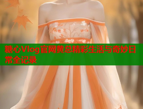 糖心Vlog官网黄总精彩生活与奇妙日常全记录  第2张
