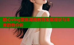 糖心vlog聚焦湖南教育发展现状与未来趋势分析