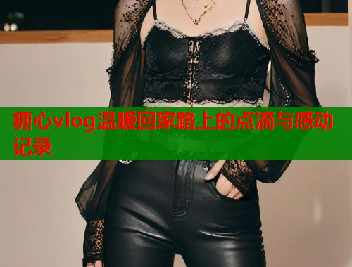 糖心vlog温暖回家路上的点滴与感动记录  第2张